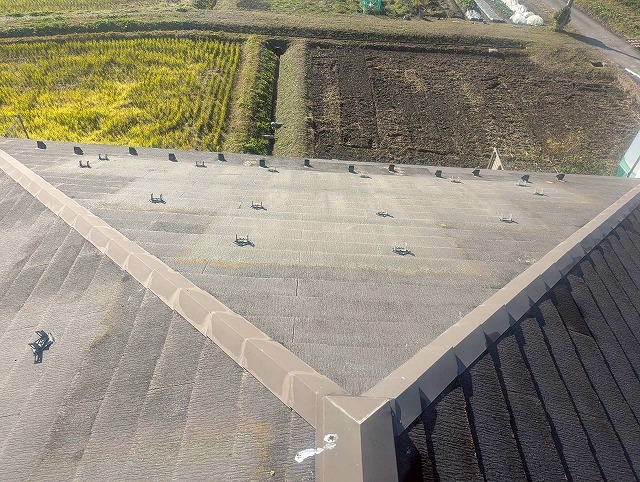 色褪せたカラーベスト